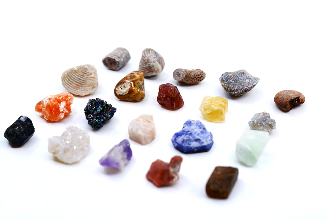 Natural Fossils and Minerals Kit – Assorted Fossil and Crystal Specimens (20 Pieces)