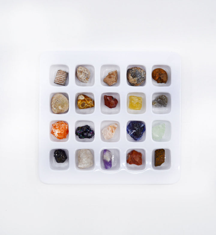 Natural Fossils and Minerals Kit – Assorted Fossil and Crystal Specimens (20 Pieces)