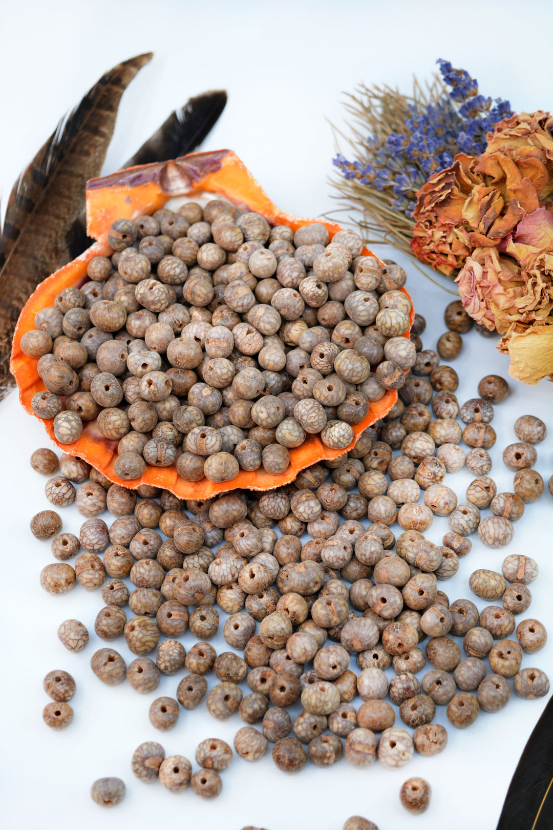 A beautiful display of natural brain acai beads in brown.