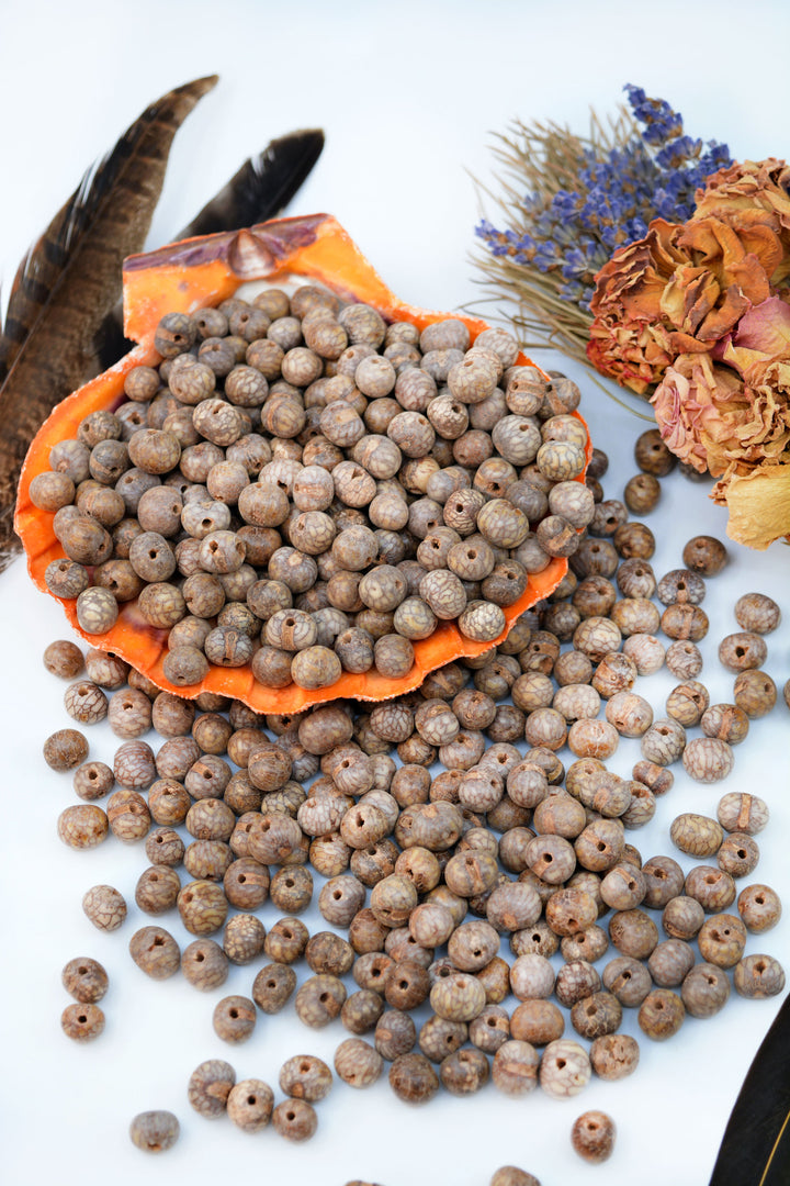 A beautiful display of natural brain acai beads in brown.