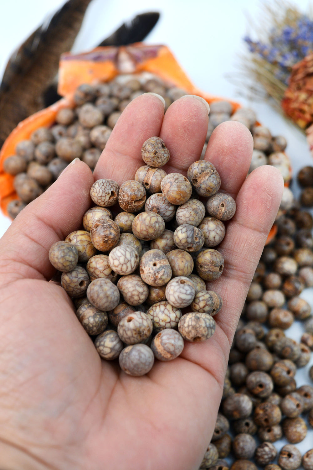Close-up of Natural Brain Acai Beads in the hands.