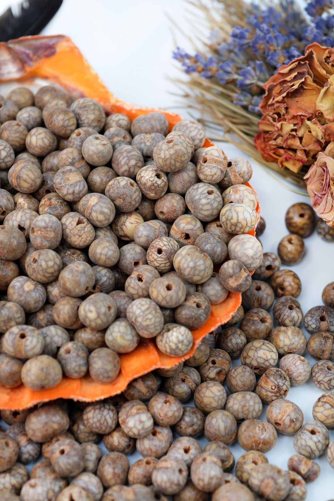 Natural Brain Acai beads showing the size of the holes.