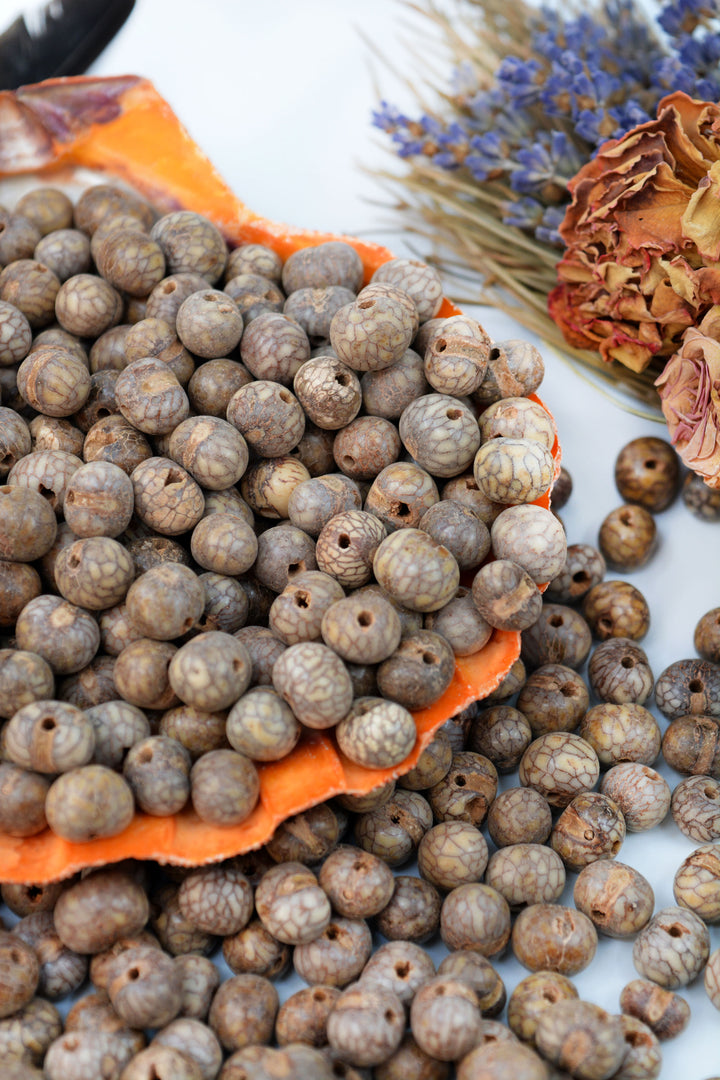 Natural Brain Acai beads showing the size of the holes.