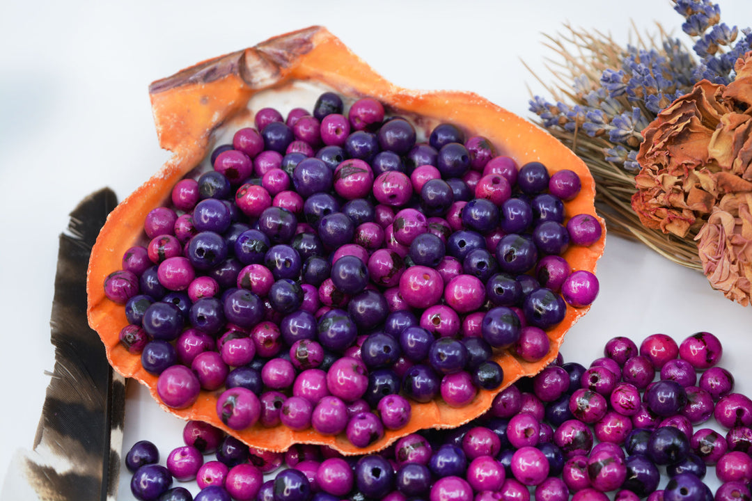 Natural Acai Beads from the Amazon showcased in a seashell.