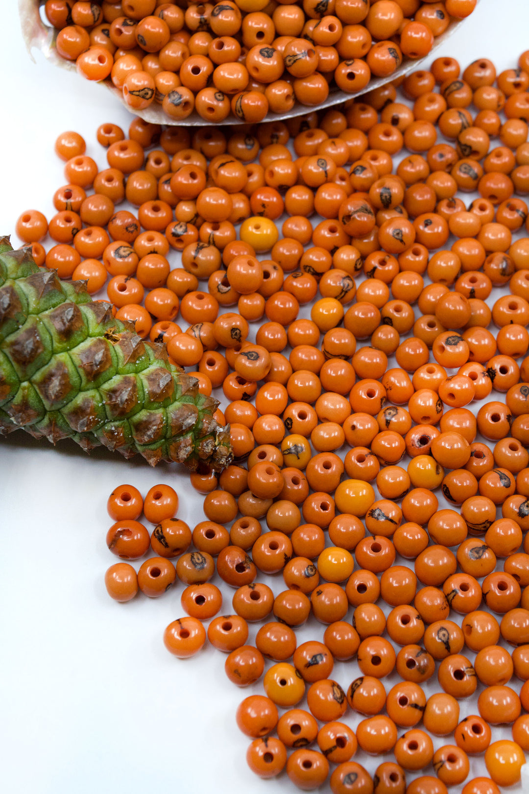 Beautiful Rust Orange Acai Beads for DIY jewelry making.