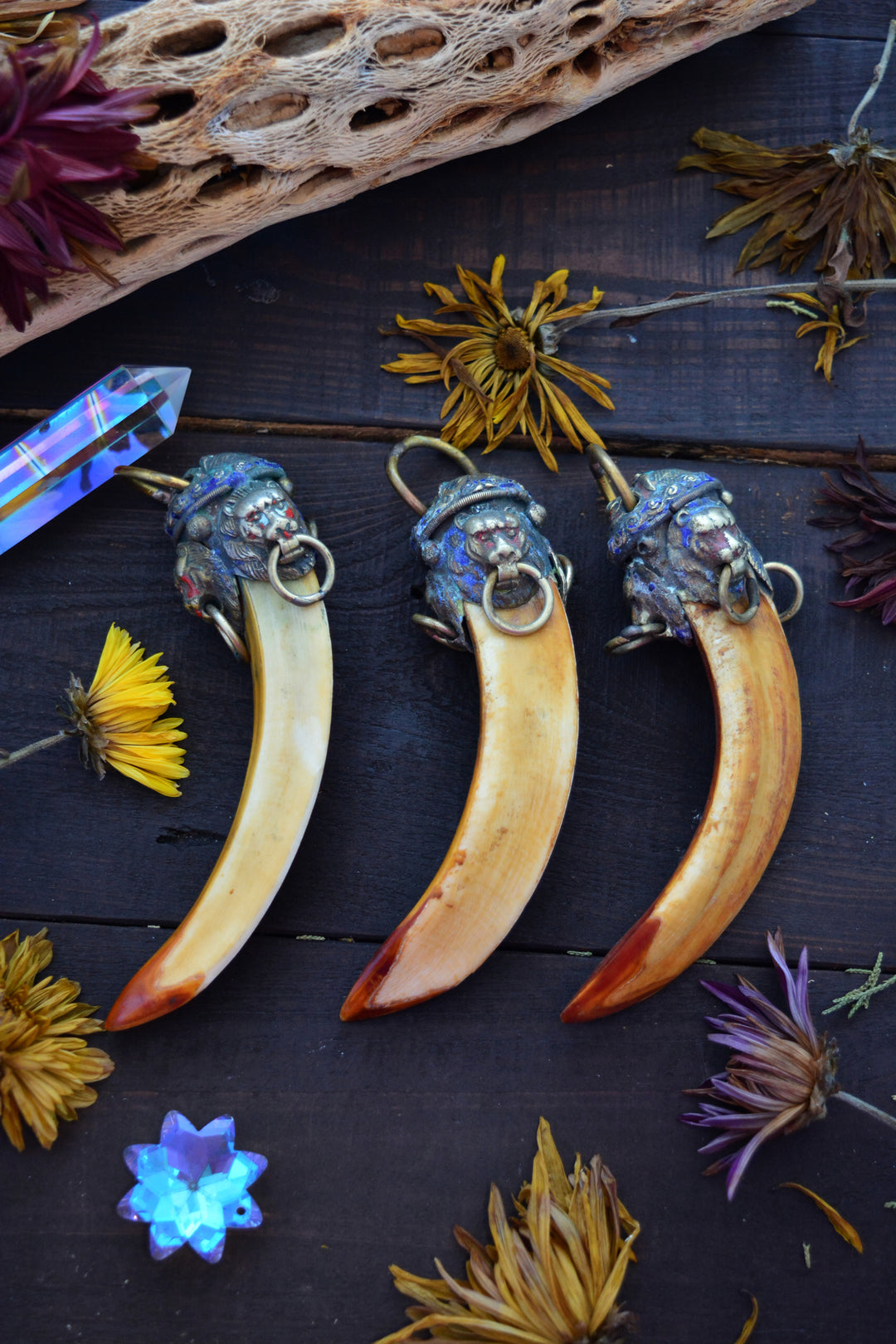 Large Boar Tusk Pendant with Adorned Wild Cat Brass Cap, 4.5", 1 pendant 