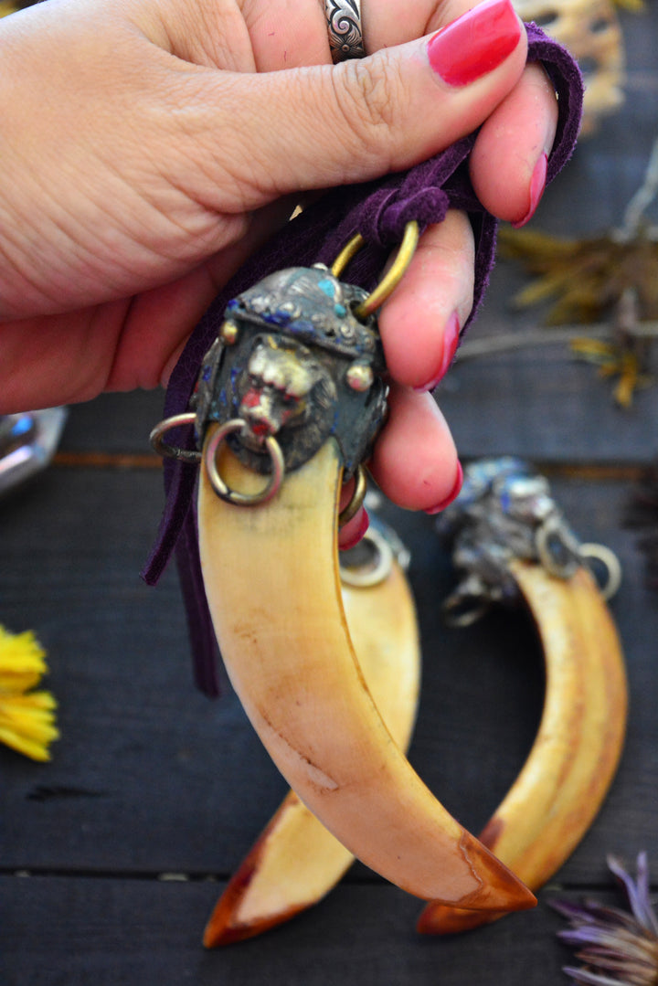 Large Boar Tusk Pendant with Adorned Wild Cat Brass Cap, 4.5", 1 pendant 