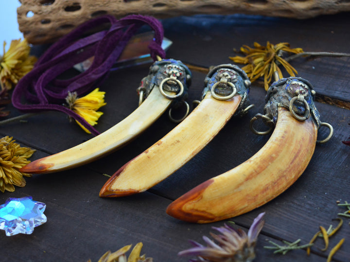 Large Boar Tusk Pendant with Adorned Wild Cat Brass Cap, 4.5", 1 pendant 