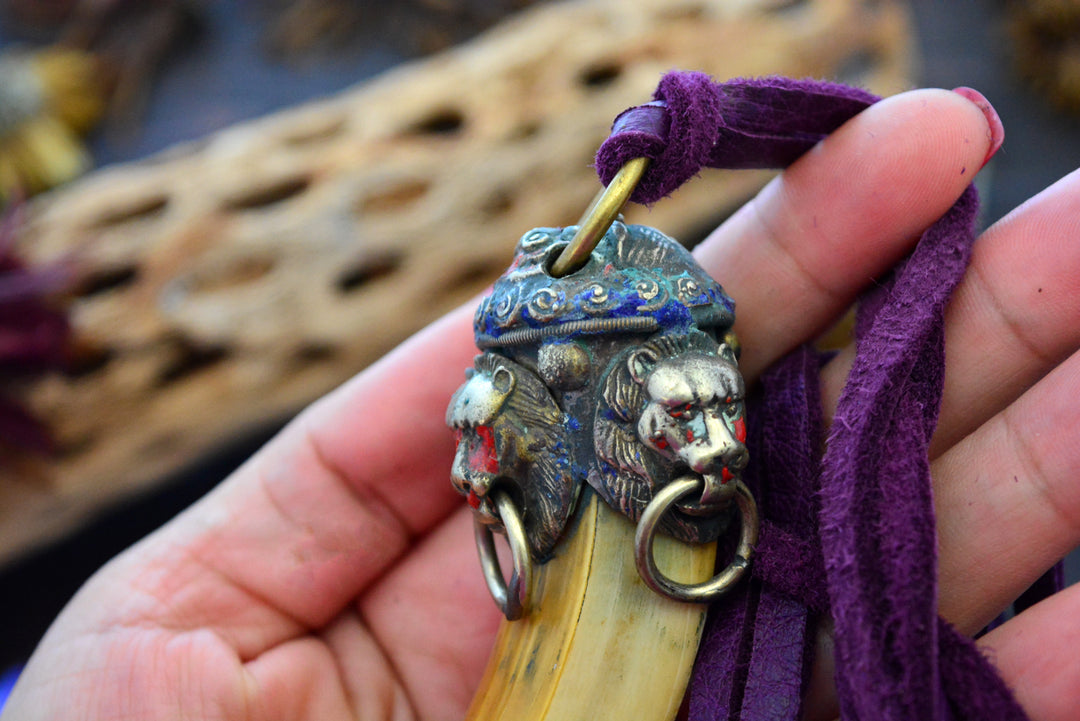 Large Boar Tusk Pendant with Adorned Wild Cat Brass Cap, 4.5", 1 pendant 