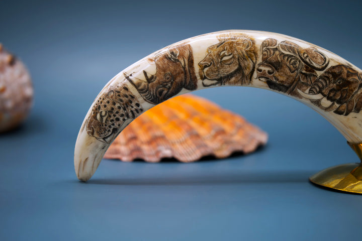 Safari: Warthog Scrimshaw Tusk, Handmade, OOAK / Home Decor, Warthog Teeth, Animal Ivory, Collectable Pieces