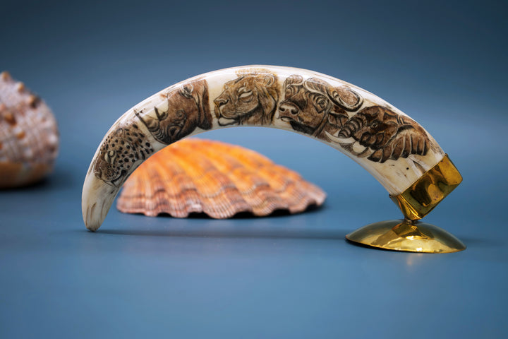 Safari: Warthog Scrimshaw Tusk, Handmade, OOAK / Home Decor, Warthog Teeth, Animal Ivory, Collectable Pieces