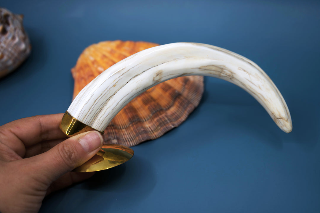 Safari: Warthog Scrimshaw Tusk, Handmade, OOAK / Home Decor, Warthog Teeth, Animal Ivory, Collectable Pieces
