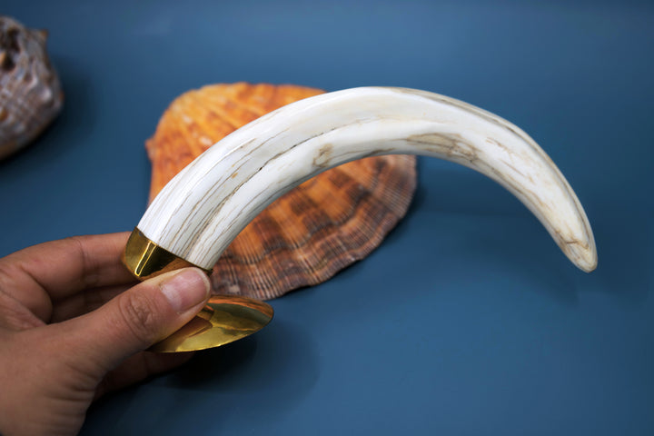 Safari: Warthog Scrimshaw Tusk, Handmade, OOAK / Home Decor, Warthog Teeth, Animal Ivory, Collectable Pieces