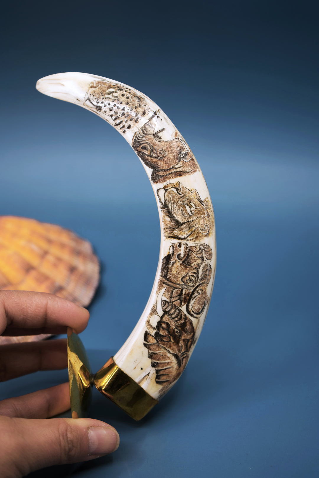 Safari: Warthog Scrimshaw Tusk, Handmade, OOAK / Home Decor, Warthog Teeth, Animal Ivory, Collectable Pieces