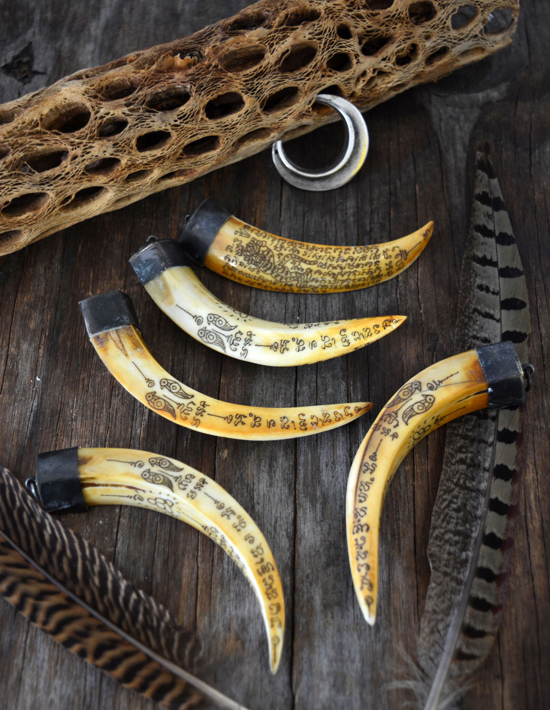 Say your Prayer: Wild Boar Tusk Bone Pendant with Scrimshaw Prayer Inscriptions and Brass Cap, 4" x 1 pc 