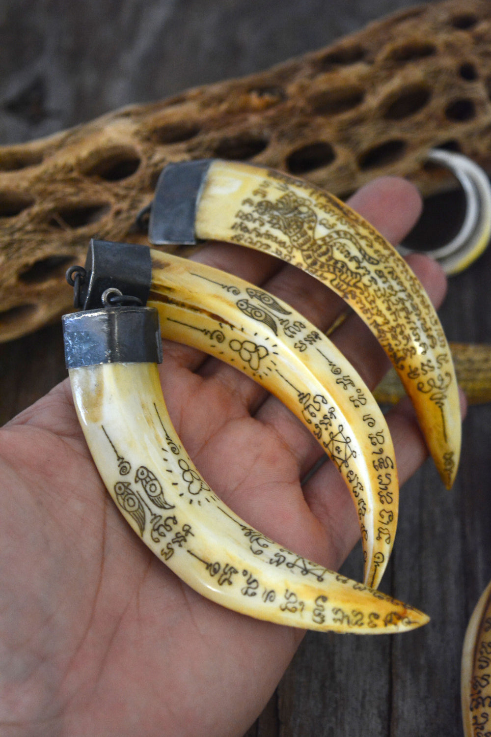 Say your Prayer: Wild Boar Tusk Bone Pendant with Scrimshaw Prayer Inscriptions and Brass Cap, 4" x 1 pc 