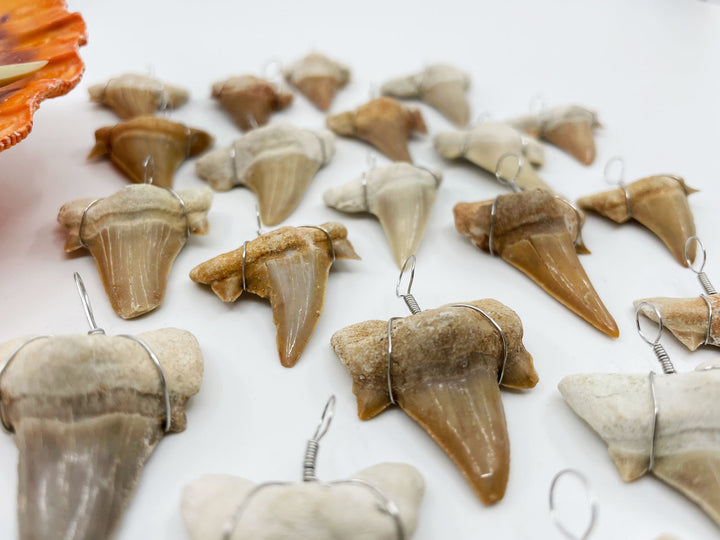 Wire Wrapped Fossil Shark Tooth Pendant – Prehistoric Otodus Obliquus Fossil from Morocco (1 Piece)
